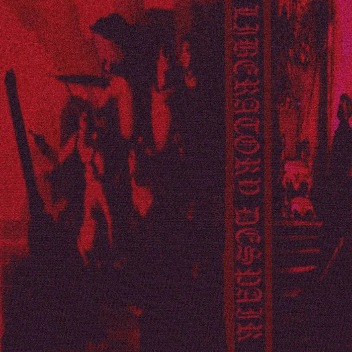 Liberatory Despair cover