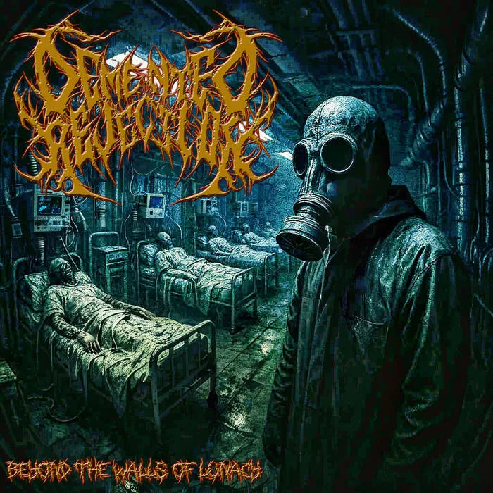 Beyond the Walls of Lunacy cover