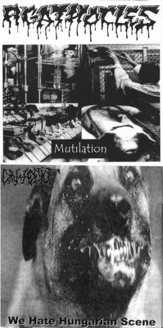 Mutilation / We Hate Hungarian Scene cover