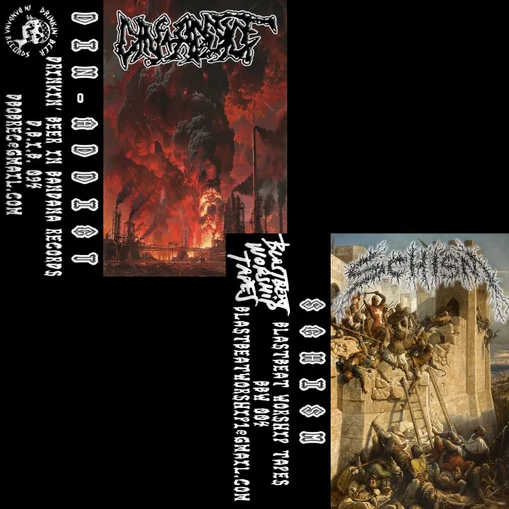 Din Addict / Schism cover