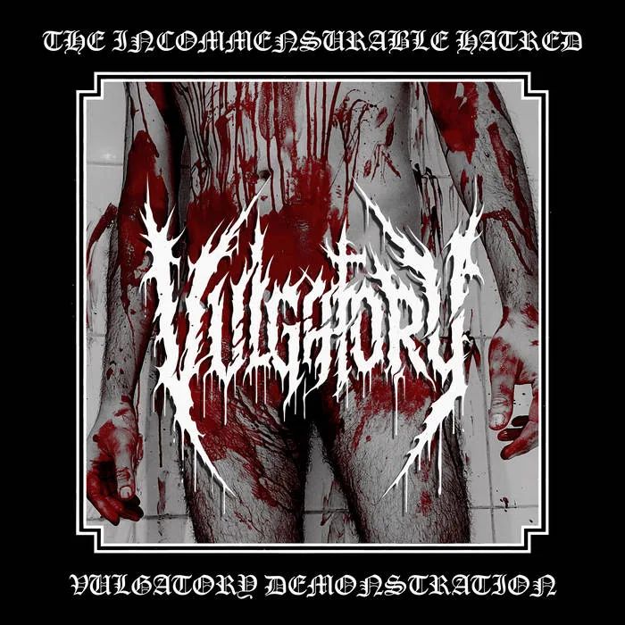 The Incommensurable Hatred cover