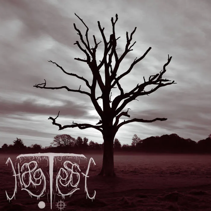 Hægtesse cover