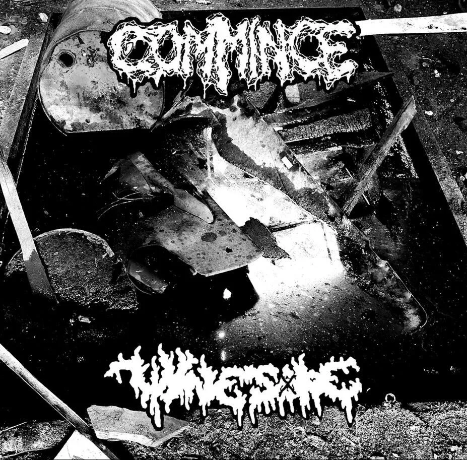 Wine Sore / Commince cover