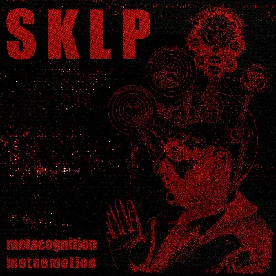 Metacognition Metaemotion cover