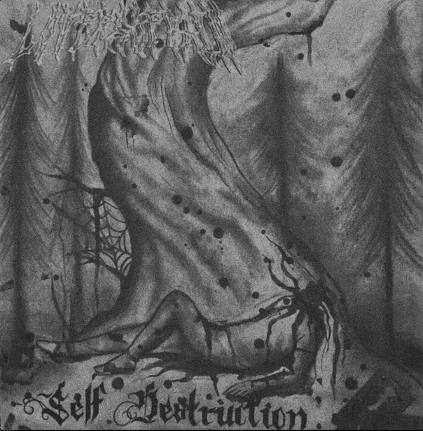 Self-Destruction cover