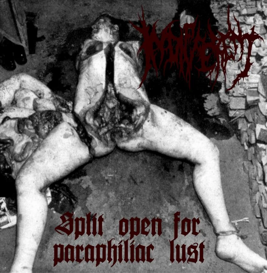 Split Open for Paraphiliac Lust cover