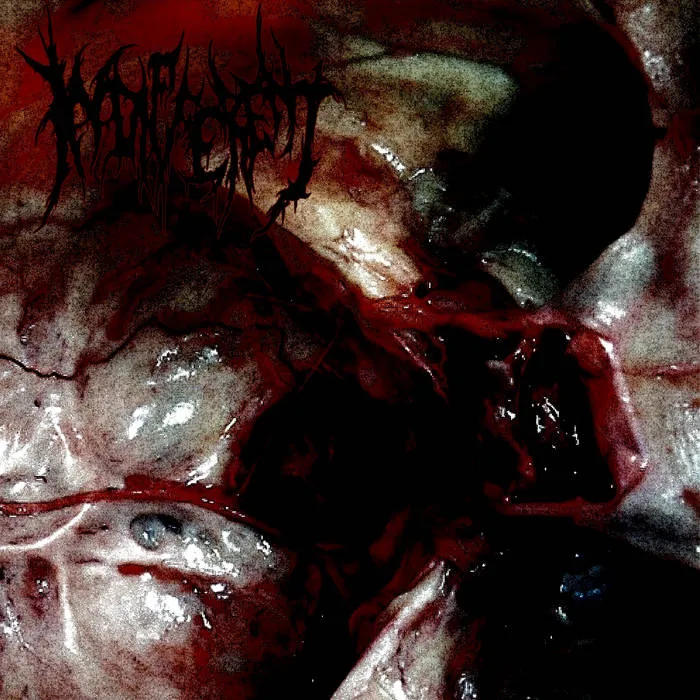 Necrosadism cover