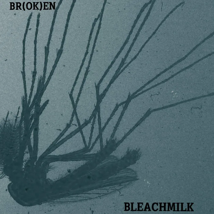 Br(ok)en / Bleach Milk cover