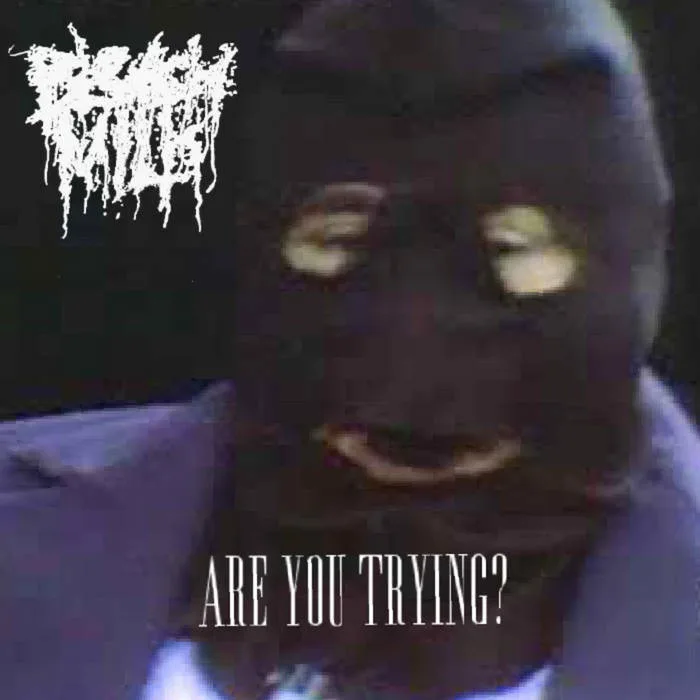 Are You Trying? cover