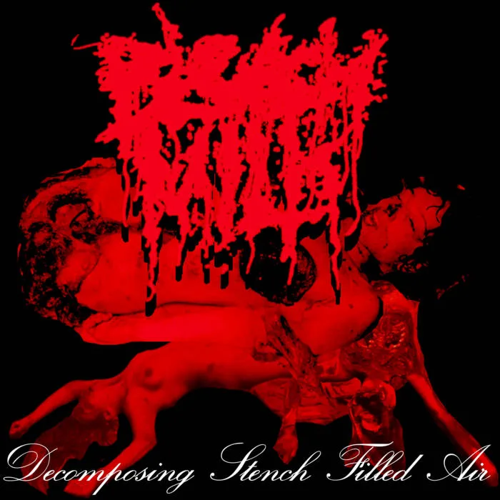 Decomposing Stench Filled Air cover