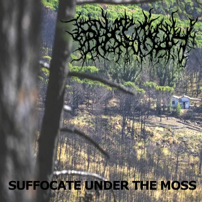 Suffocate Under the Moss cover