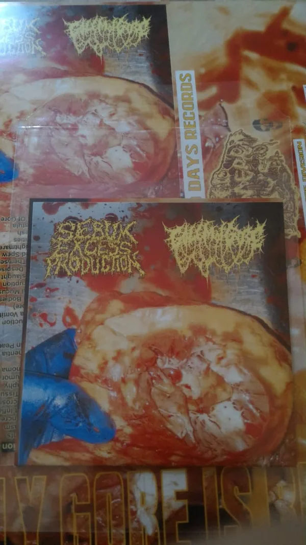 Only Gore Is Real cover