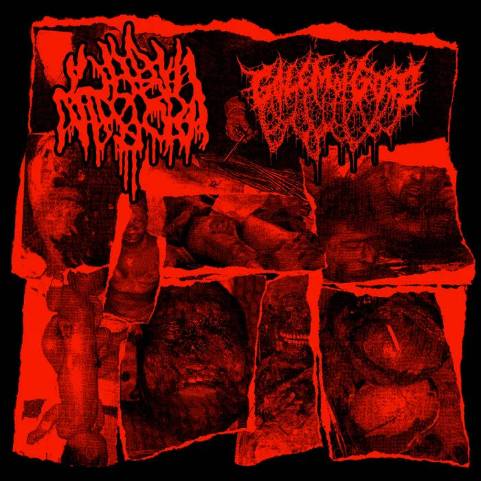 Golem of Gore / Labia Majora cover