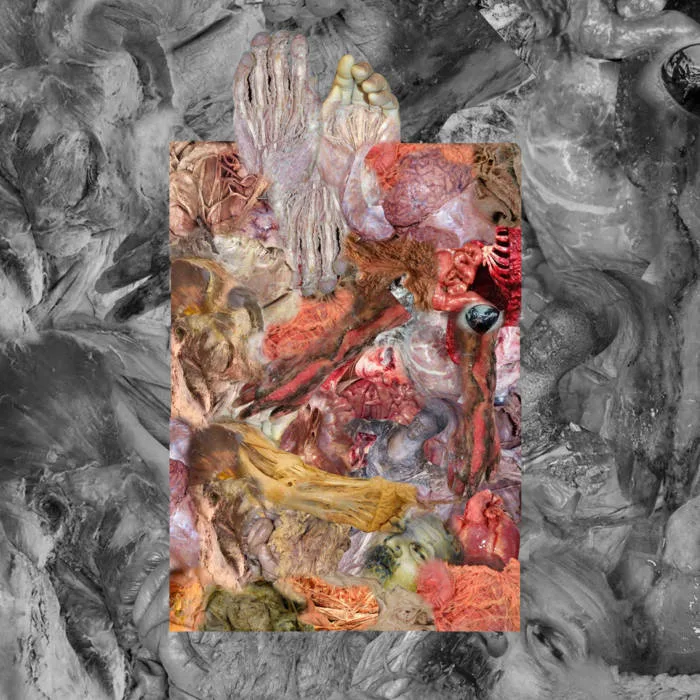 The Stench of Organs and Purulence Rapidly Decomposing cover