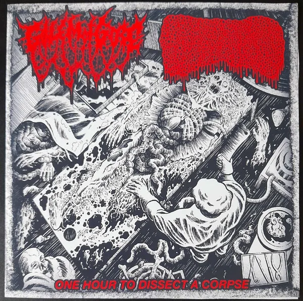 One Hour to Dissect a Corpse cover