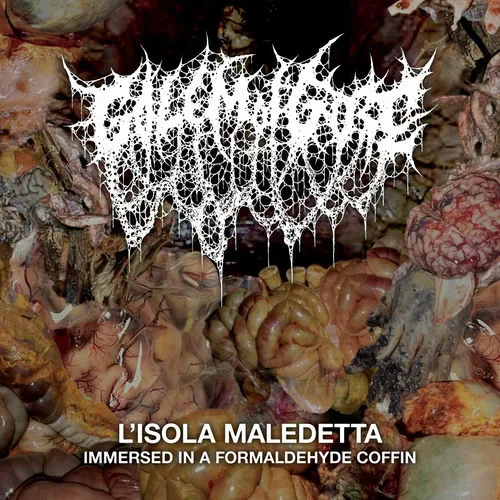 L'isola maledetta - Immersed in a Formaldehyde Coffin cover