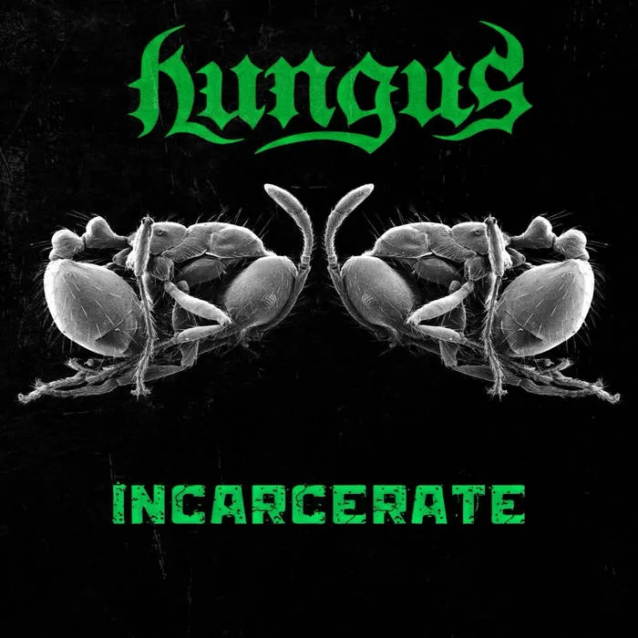 Incarcerate cover