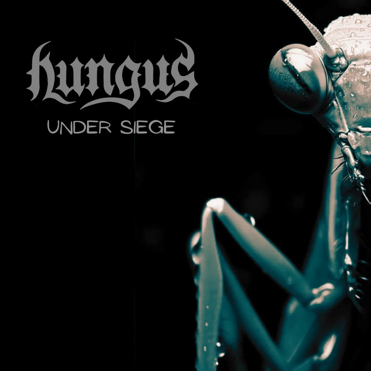 Under Siege cover