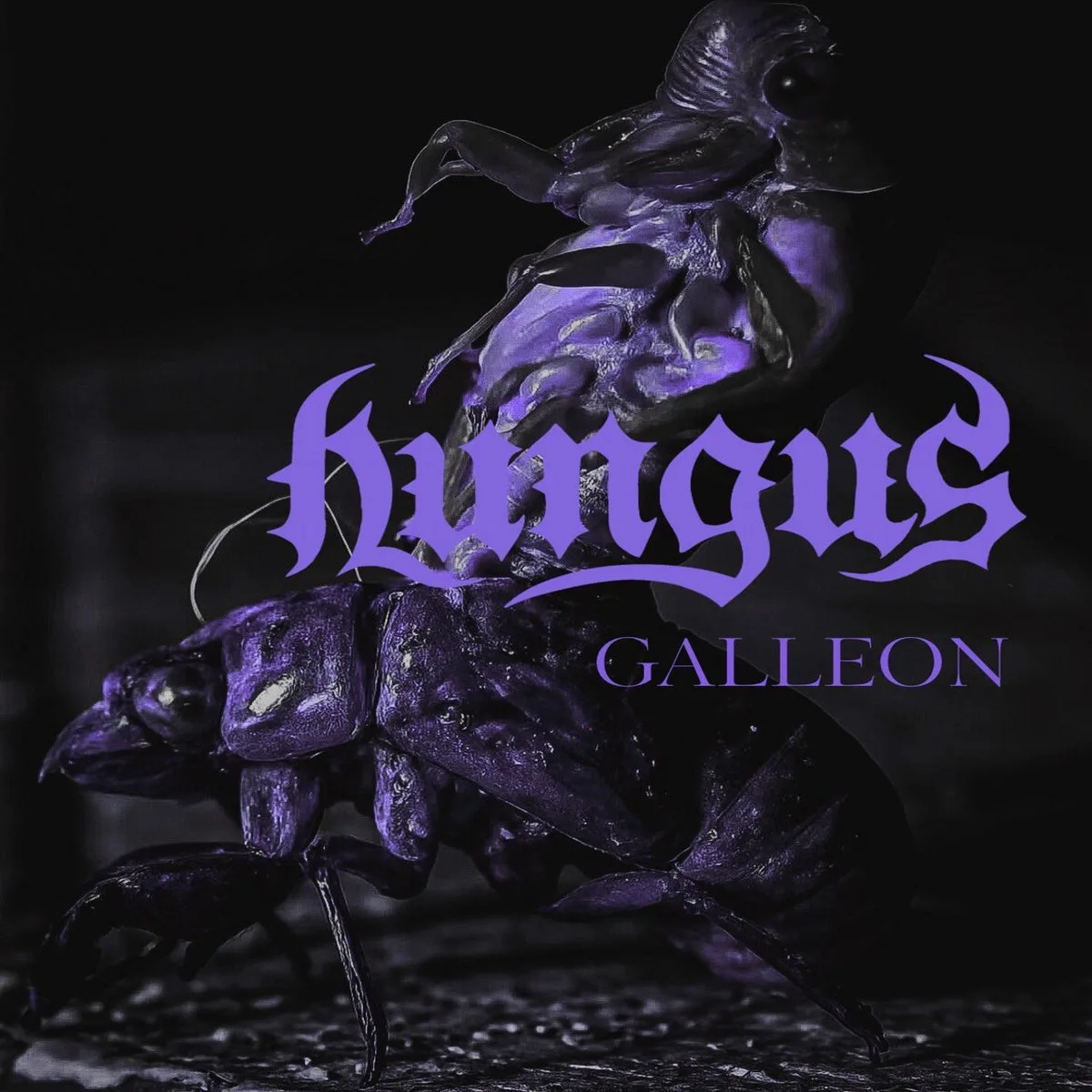Galleon cover