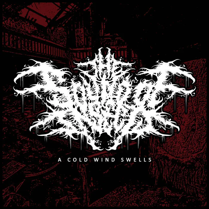 A Cold Wind Swells cover