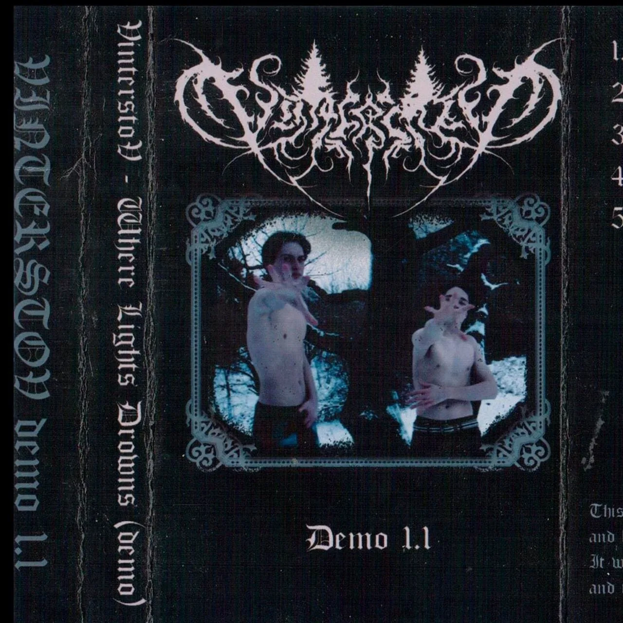Demo 1.1 cover