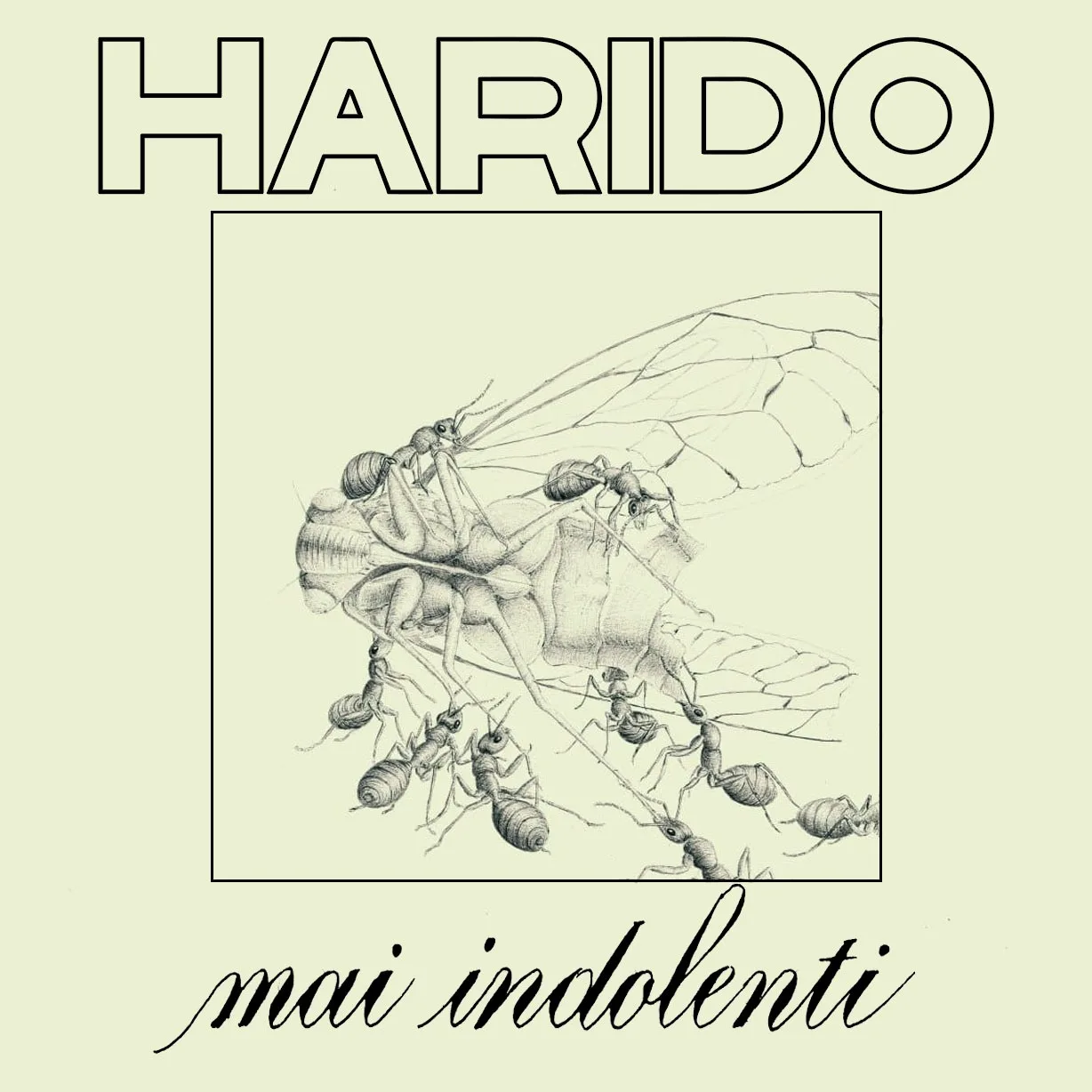 Mai indolenti cover