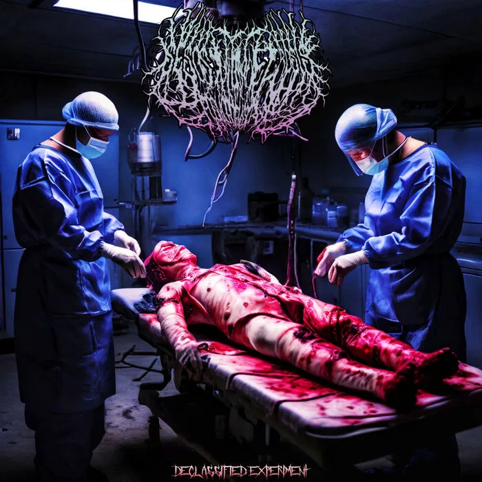 Declassified Experiment cover