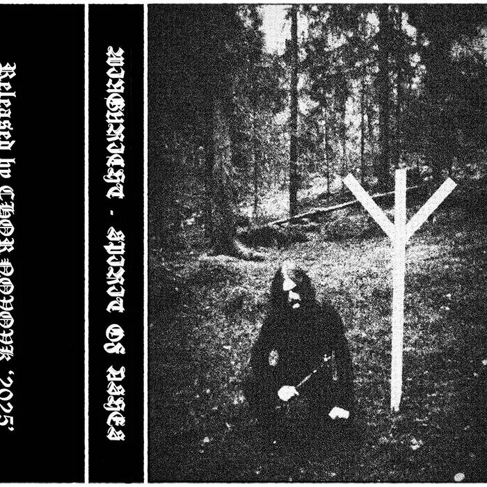 Spirit of Ashes cover