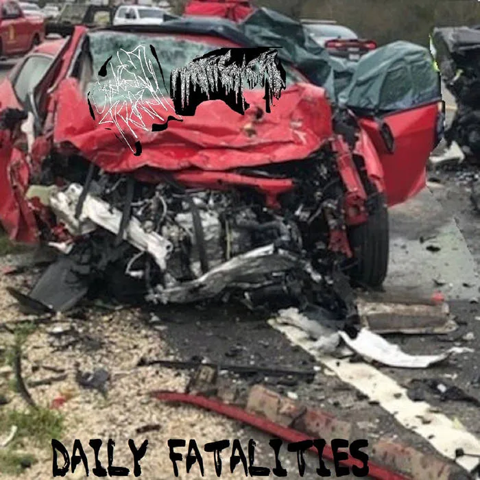 Daily Fatalities cover