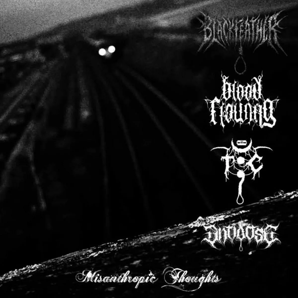 Misanthropic Thoughts cover