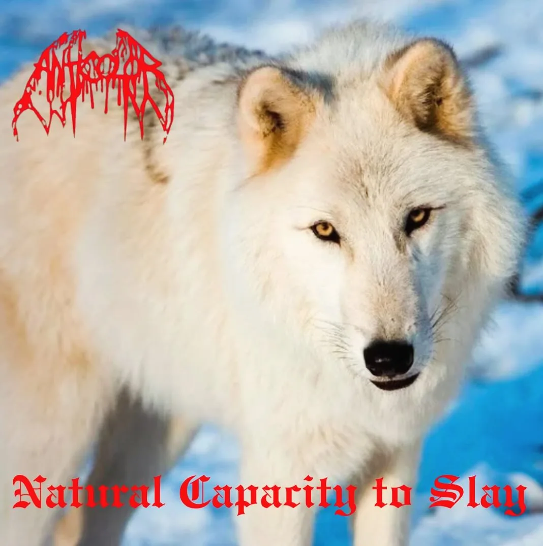 Natural Capacity to Slay cover