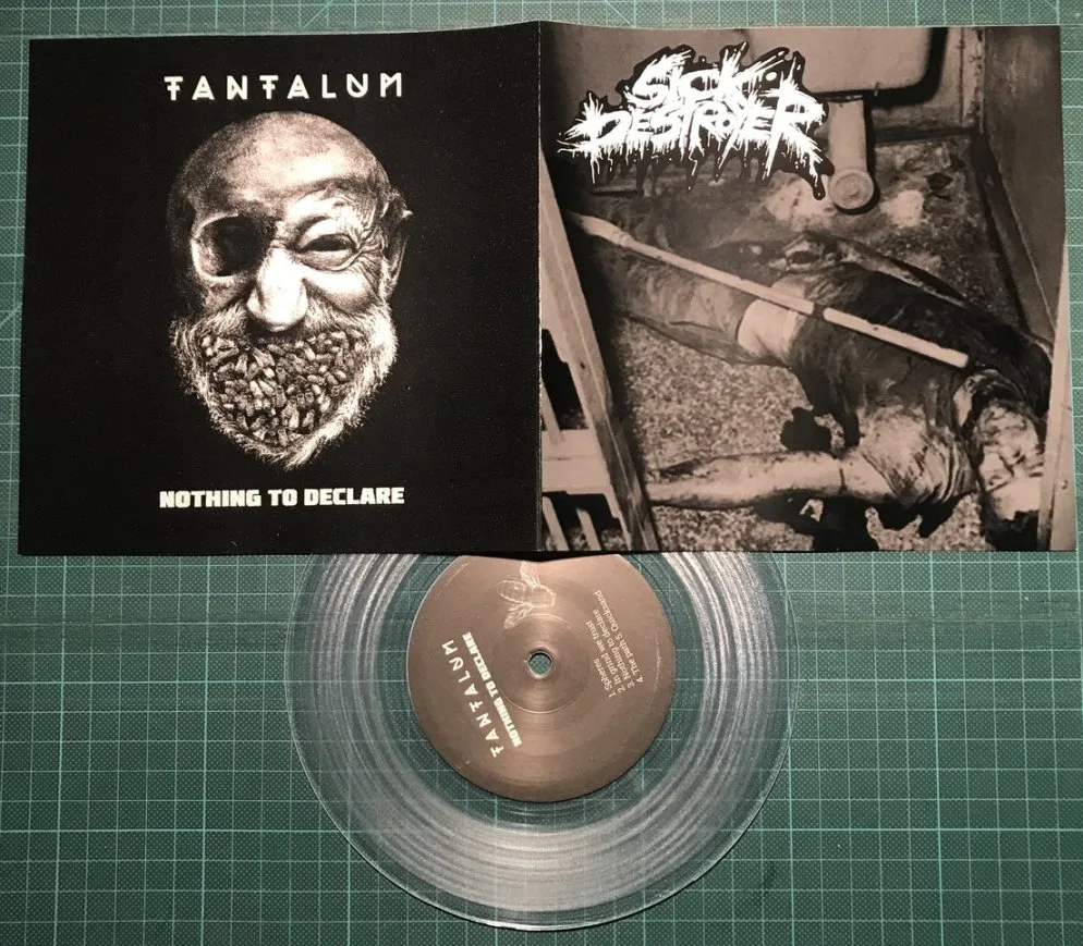 Sick Destroyer ​/ ​Tantalum cover