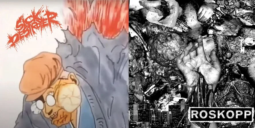 Roskopp / Sick Destroyer cover