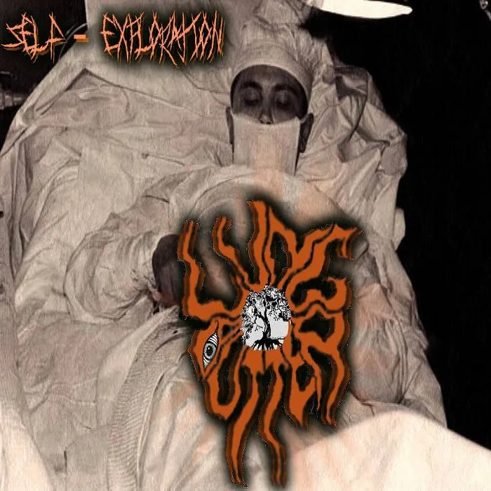 Self-Exploration cover