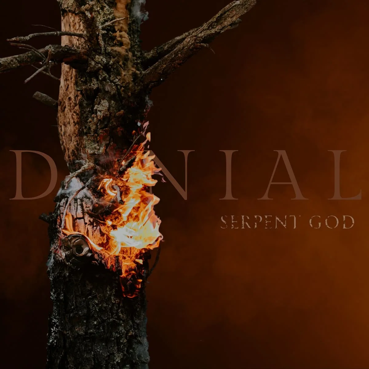 Denial cover