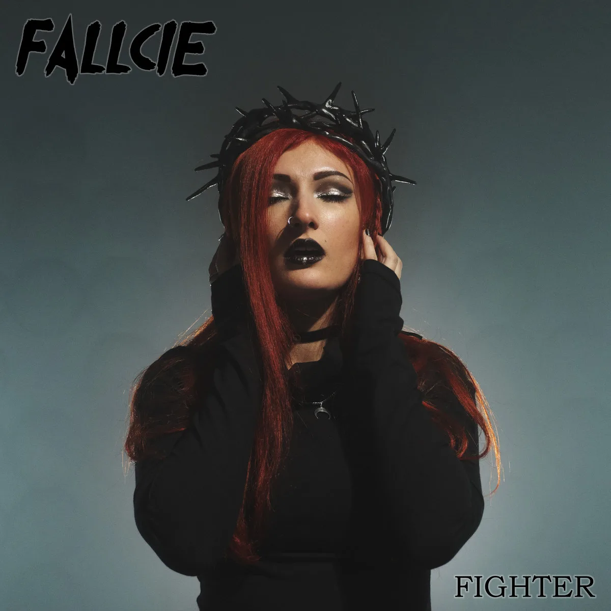 Fighter cover