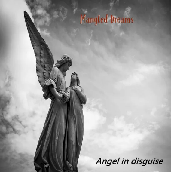 Angel in Disguise cover