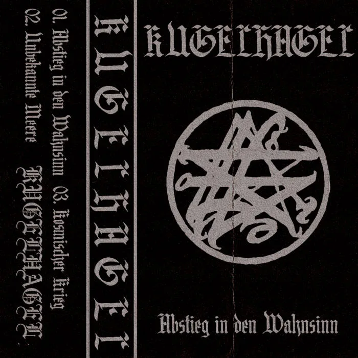 Abstieg in den Wahnsinn cover
