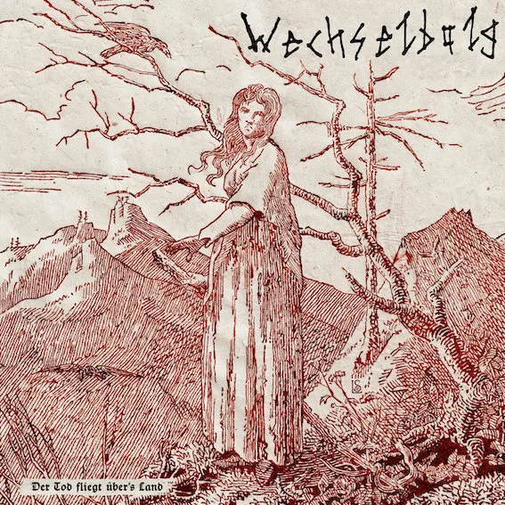 Der Tod Fliegt Über's Land cover