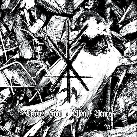 Bleak Years cover