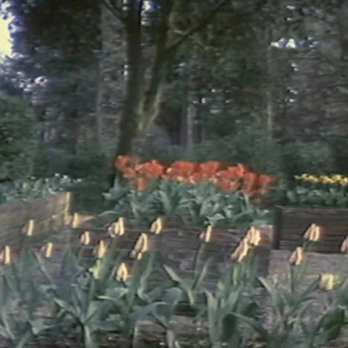 Harrison Garden's cover