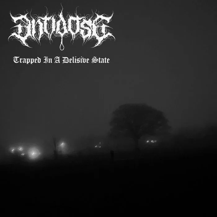 Trapped in a Delusive State cover