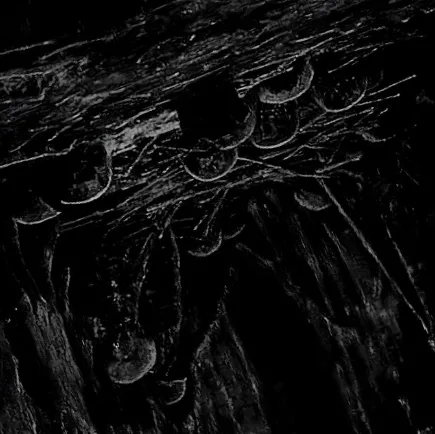 Void cover