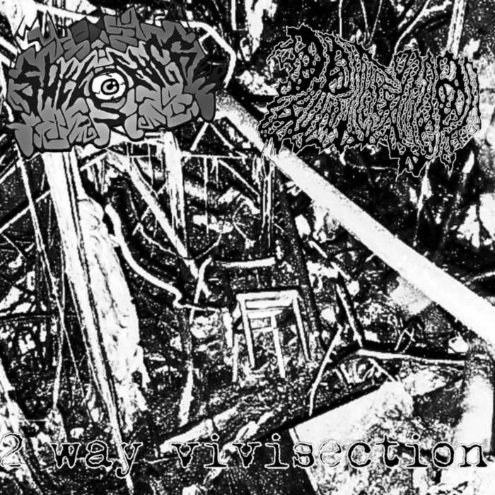 2 Way Vivisection cover