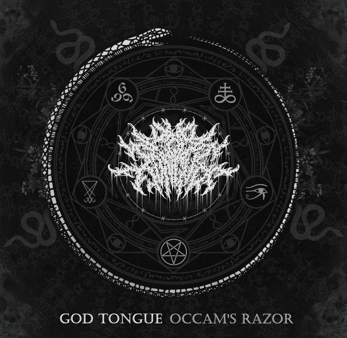 Occam's Razor cover