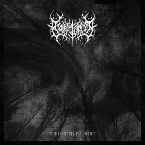 Shrouded in Hurt... cover