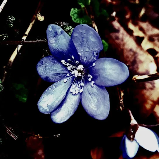 Depression, Pt. 2 cover