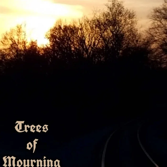 Marcesense cover