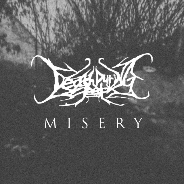 Misery cover