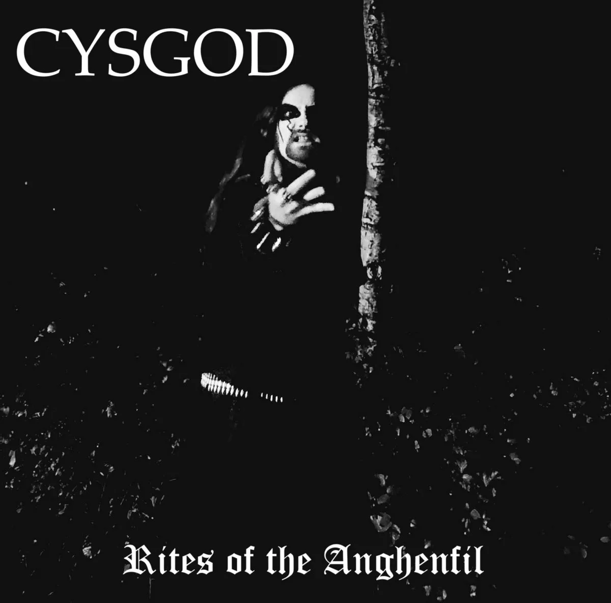 Rites of the Anghenfil cover